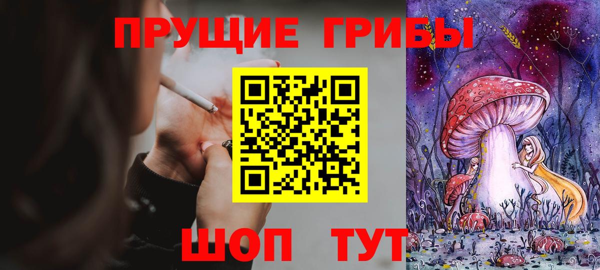 Ангарск  купить наркотик  Вход с VPN  Псилоцибиновые грибы Cubensis  Псилоцибиновые грибы Psilocybe 